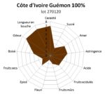 Tablette de pâte de cacao Côte d'Ivoire Guémon 100% 100g – Image 2