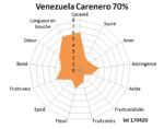 Tablette de chocolat noir Venezuela Carenero 70% 100g – Image 2