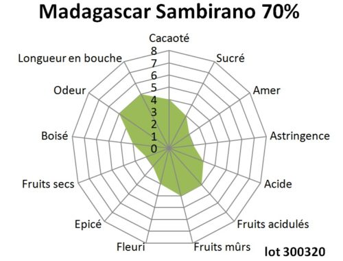 Tablette de chocolat noir Madagascar Sambirano 70% BIO 100g – Image 4