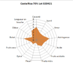 Tablette de chocolat noir Costa Rica Quetzal 70% 100g – Image 2